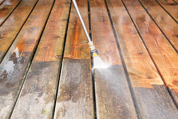 Best Roof Pressure Washing  in Dortches, NC
