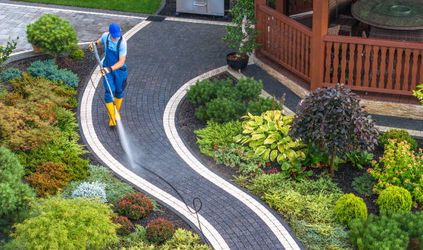 Best Pressure Washing Company Near Me  in Dortches, NC